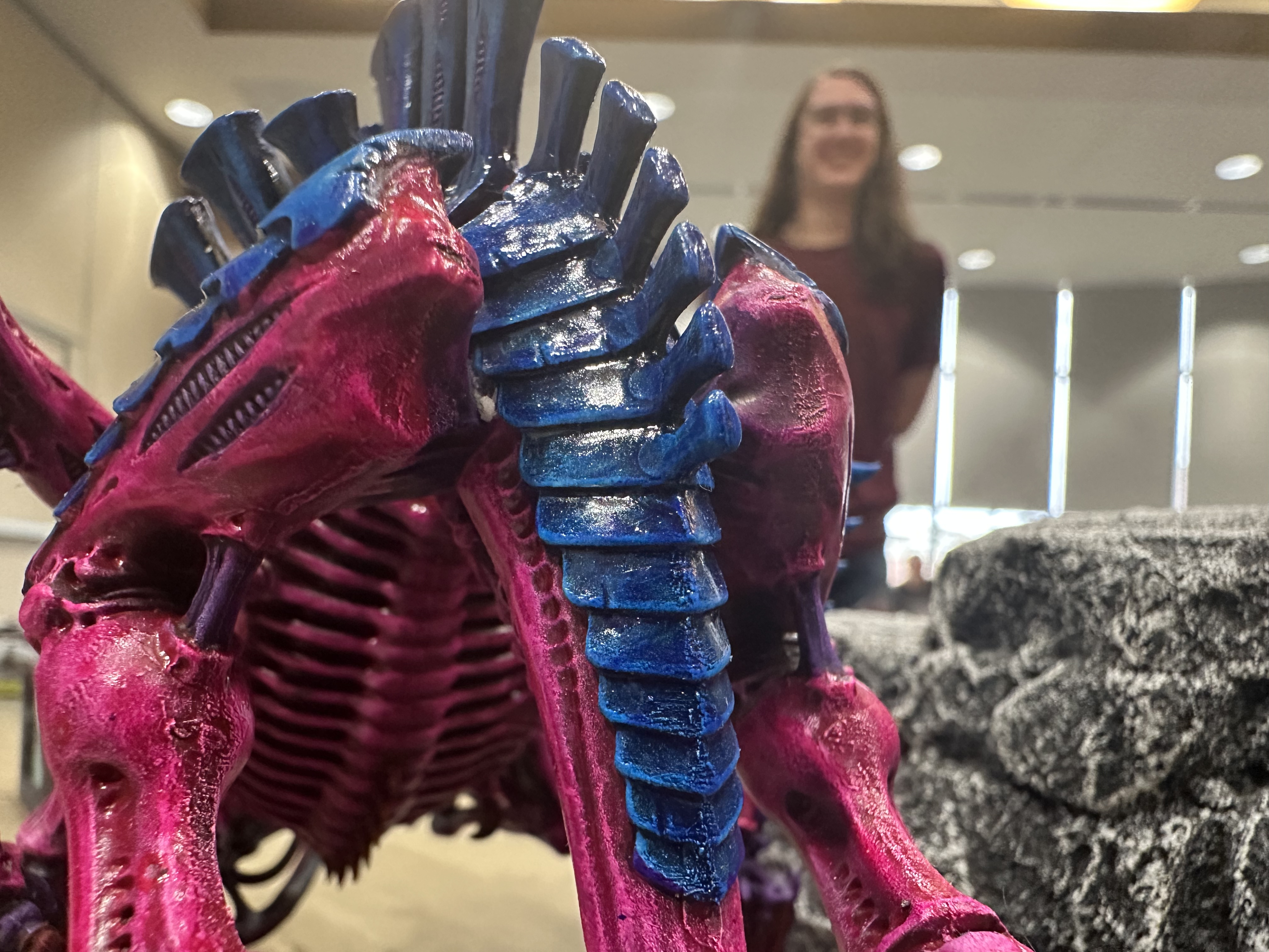 tryannofex proctology